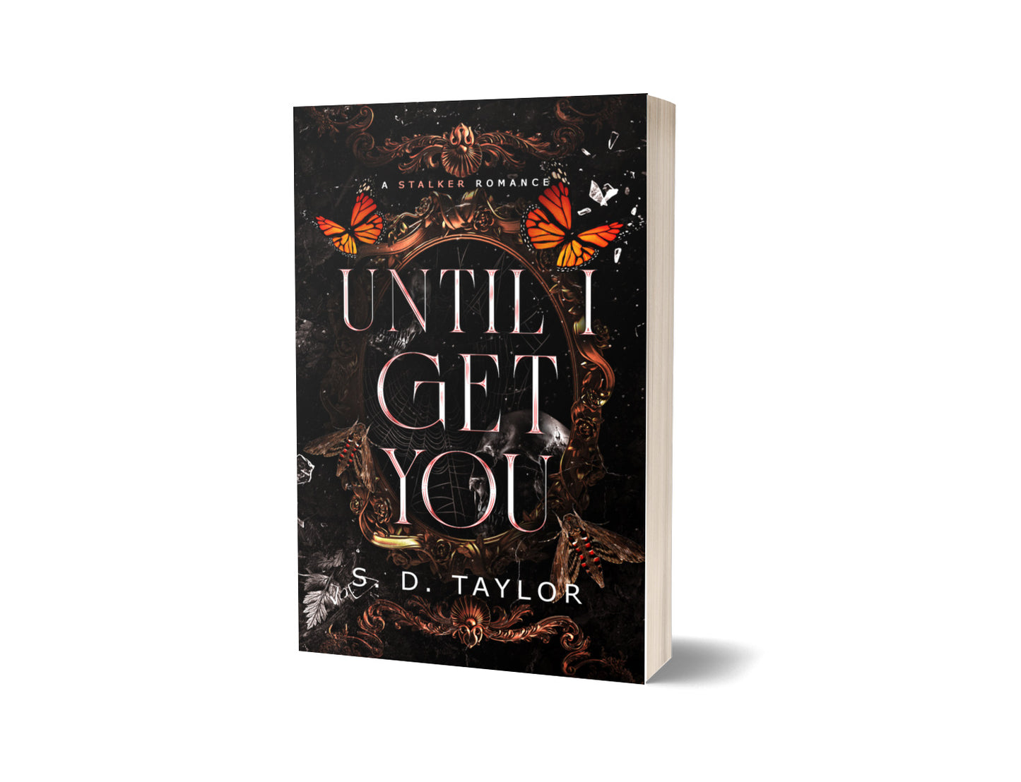 Until I Get You: Dark Romance Obsession You’ll Crave